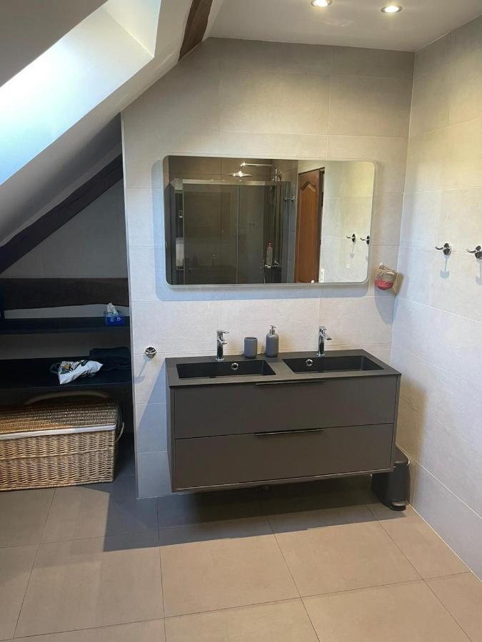 Le Logis Du Regisseur Bed and Breakfast Charny-Oree-de-Puisaye Buitenkant foto